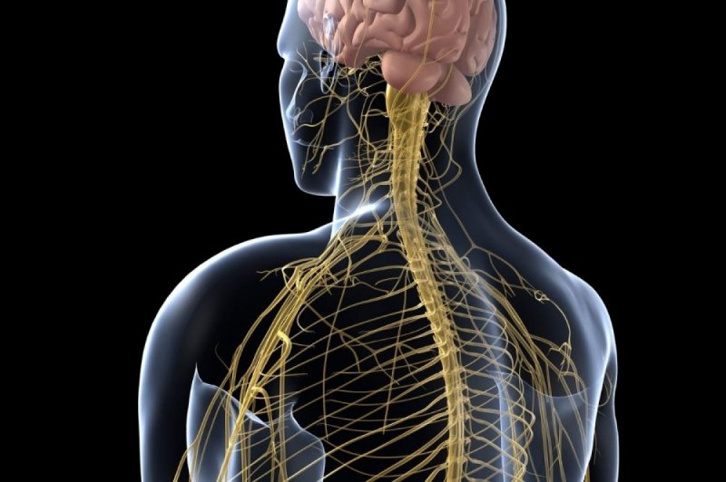 Peripheral Nerve Surgery